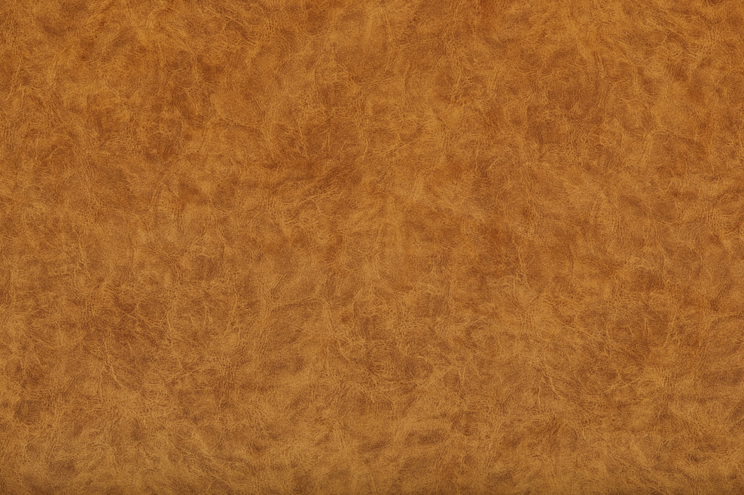 Camel_12